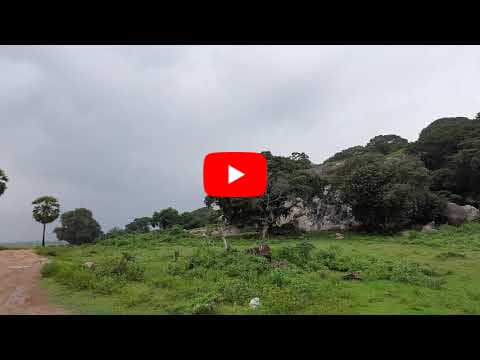 Peacock Flying Nature Scenery | Mountain Side Nature Scene | Royalty Free 4K Videos - No Copyright